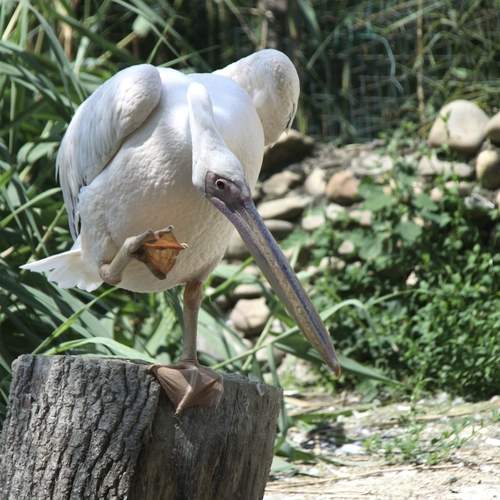 Photo #12334758