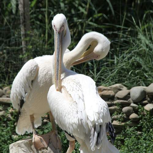 Photo #12334763