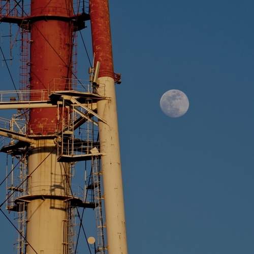Photo #12334820