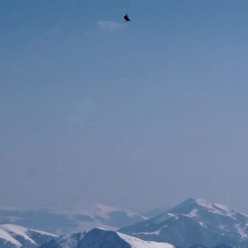 Photo #12334822
