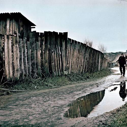 Photo #12334870