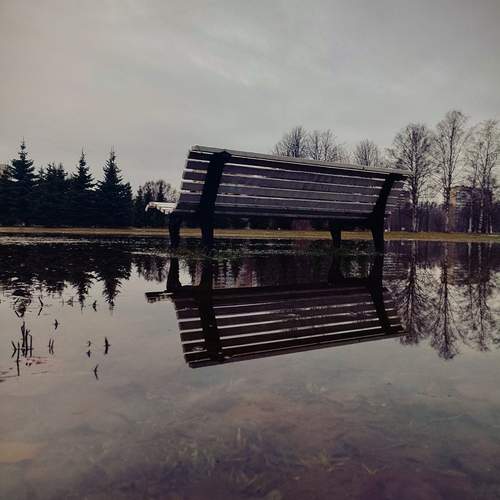 Photo #12334973
