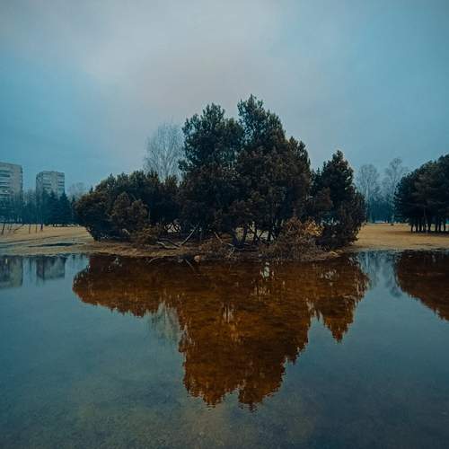 Photo #12334974