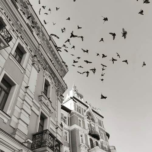 Photo #12335064