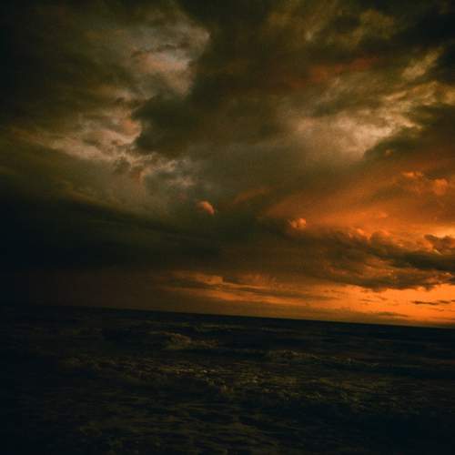 Photo #12335354