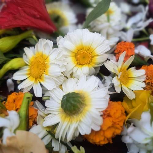 Photo #12335424