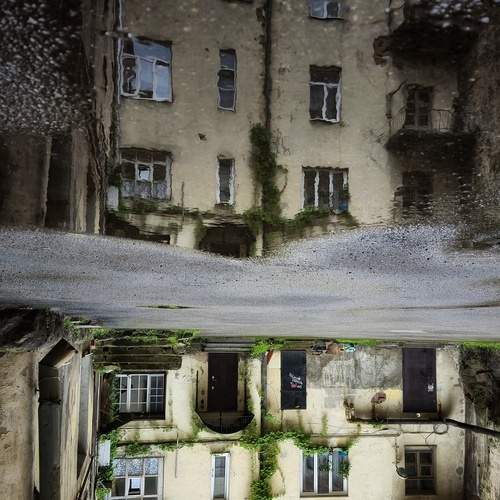 Photo #12335443