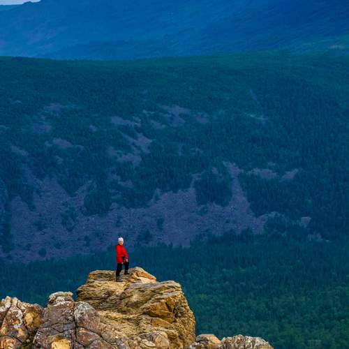 Photo #12335700