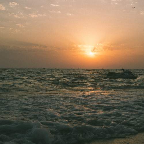 Photo #12335718