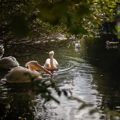 Photo #12335775