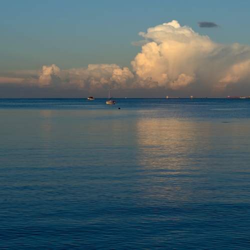 Photo #12336612