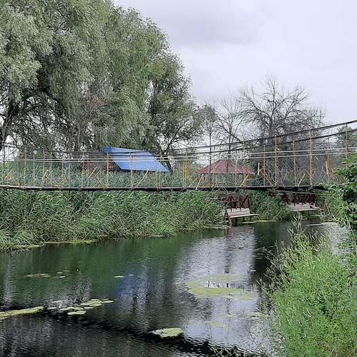 Photo #12336749