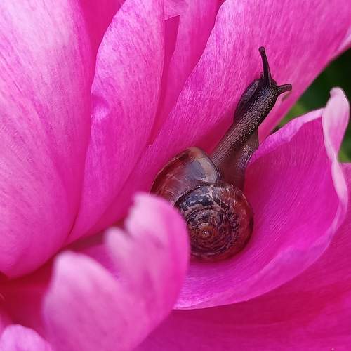 Photo #12337003