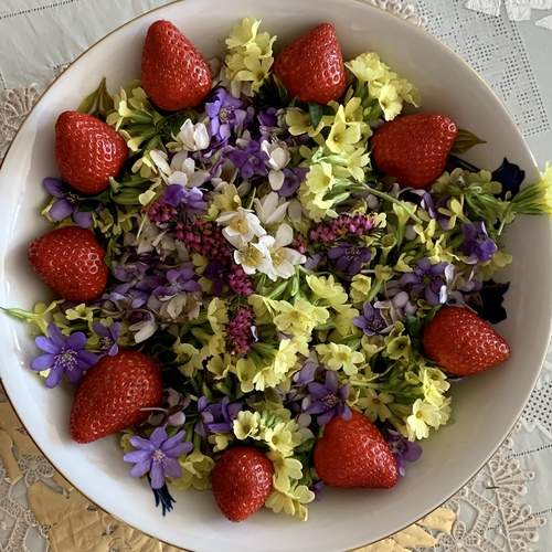 Photo #12337252