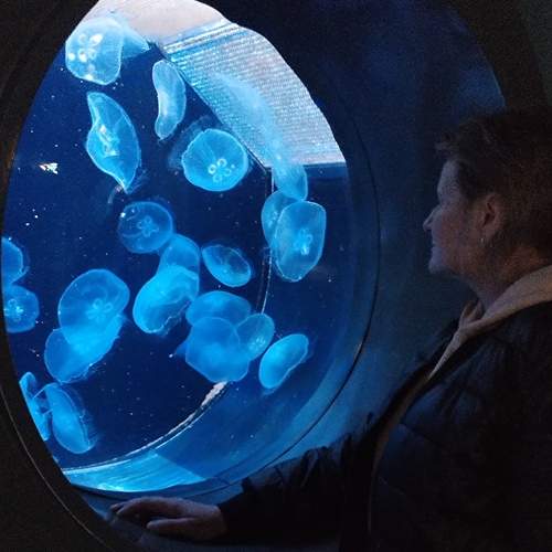 Photo #12337307