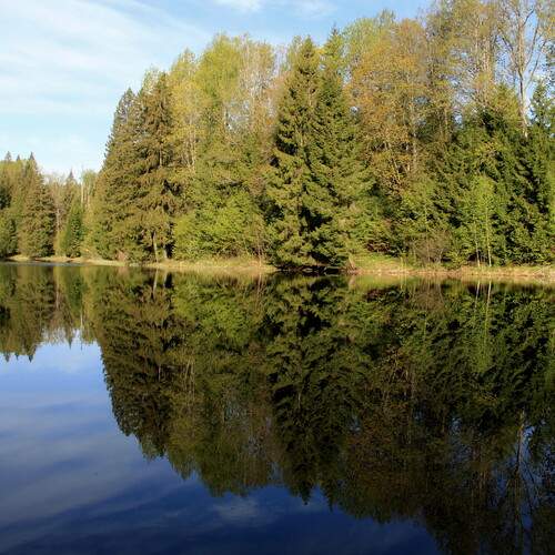 Photo #12337317