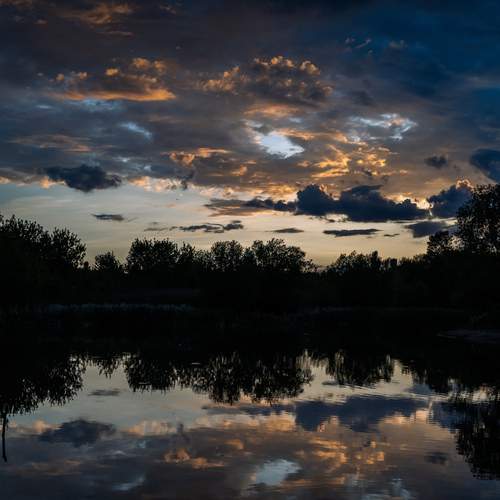 Photo #12337386