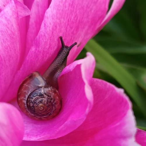 Photo #12337490