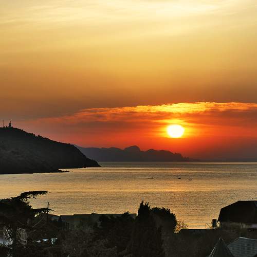 Photo #12337520