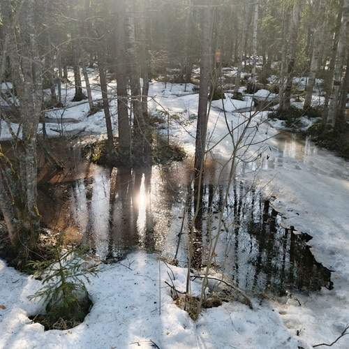 Photo #12337621
