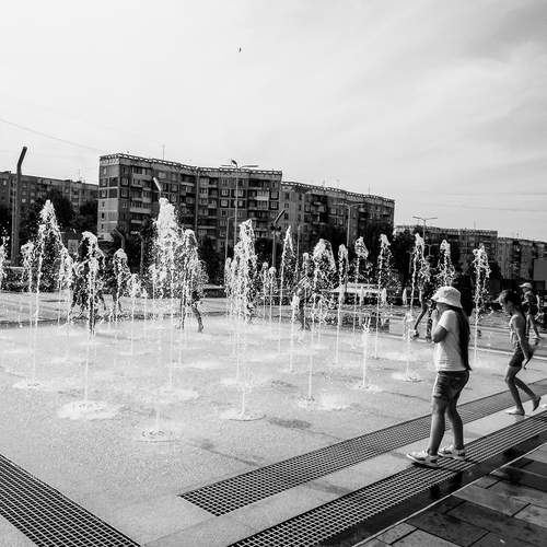 Photo #12337648