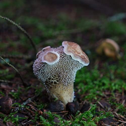 Photo #12338173