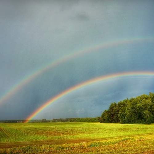 Photo #12338221