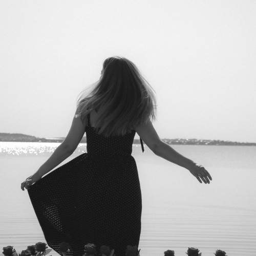 Photo #12338809