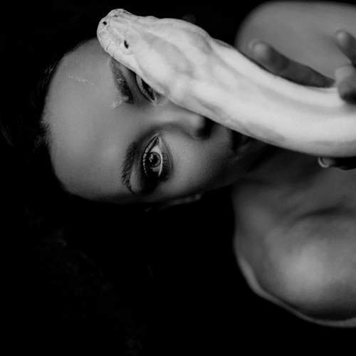 Photo #12338814