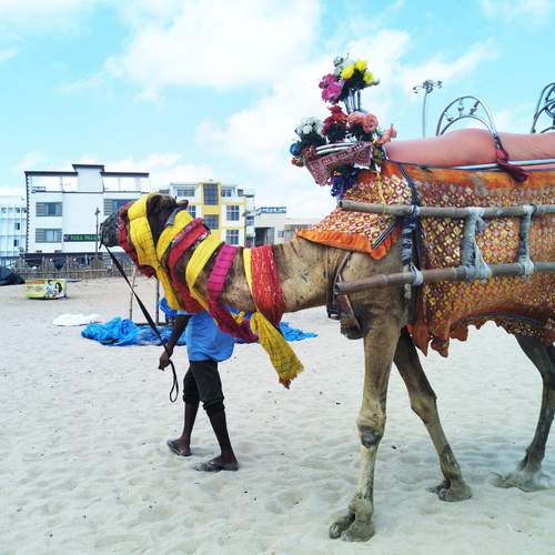 Photo #12338859