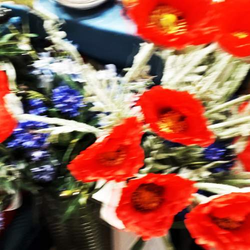 Photo #12338893