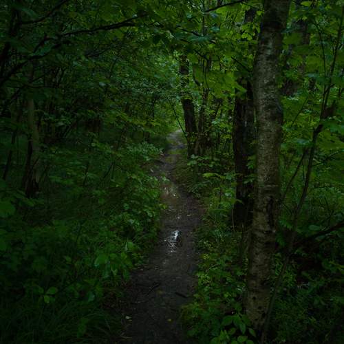 Photo #12339601