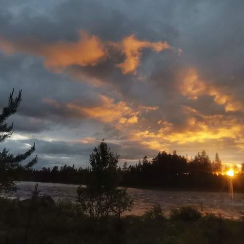 Photo #12340799