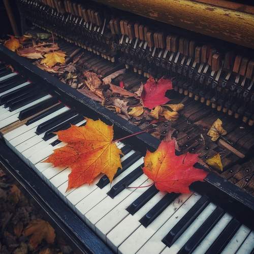 Photo #12341444