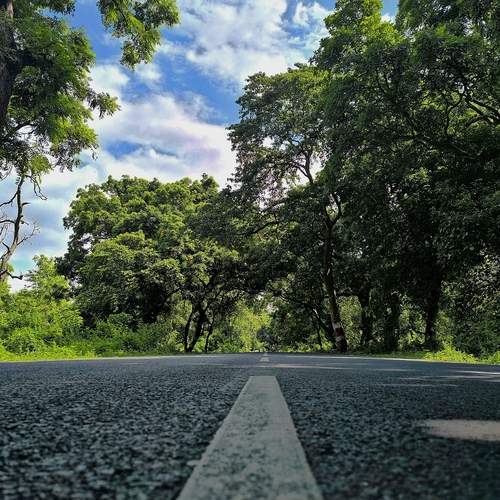 Photo #12341494