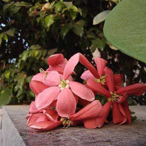 Photo #12341865