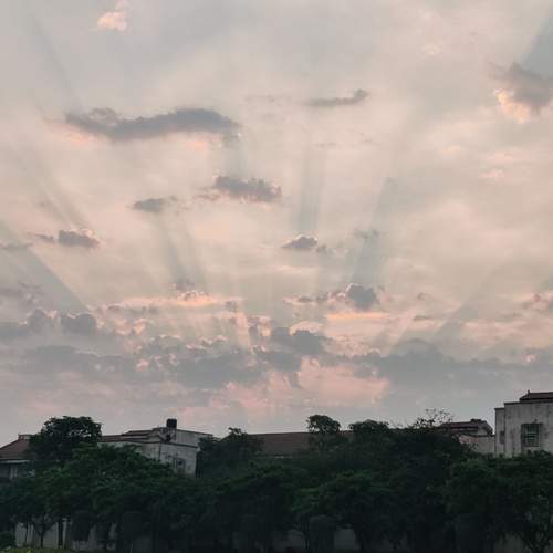 Photo #12342316