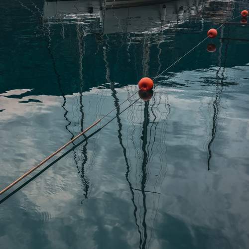 Фотография #12342522