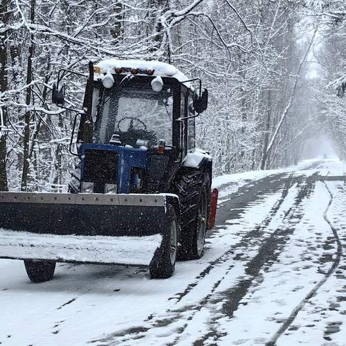 Photo #12342697
