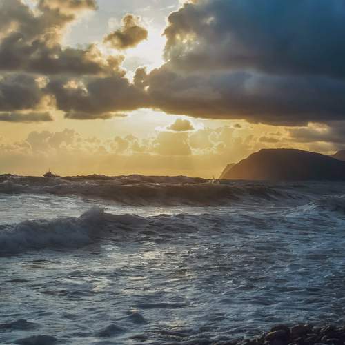 Photo #12343039