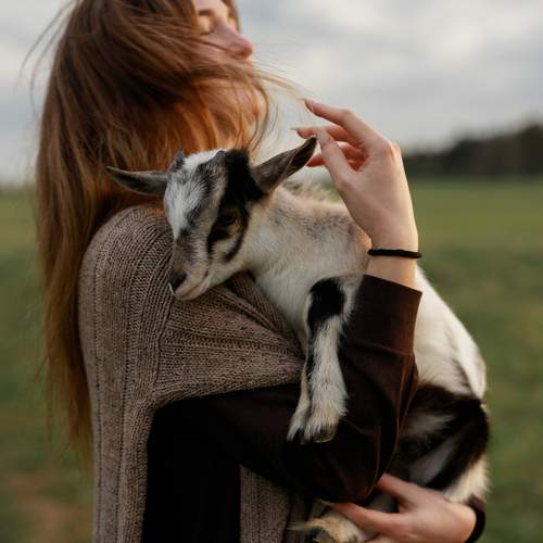 Photo #12343075
