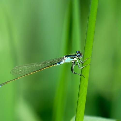 Photo #12343200