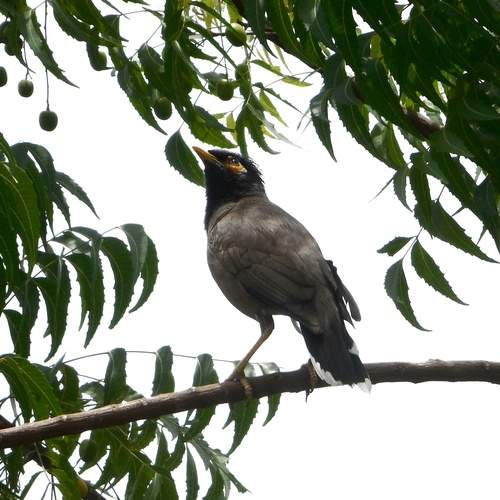 Photo #12343206