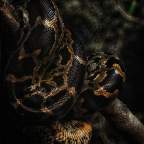 Photo #12343207