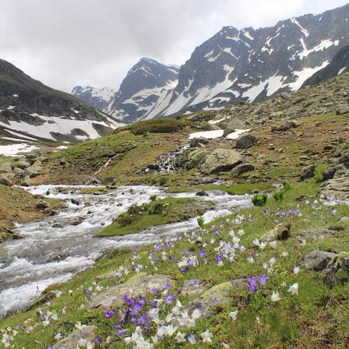 Photo #12343268