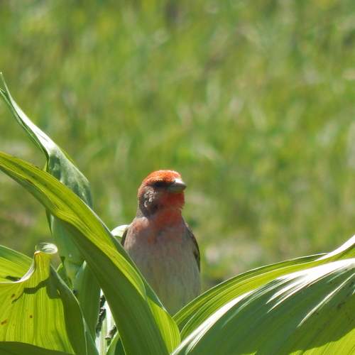 Photo #12343313