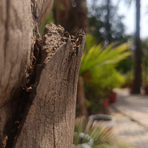Photo #12343622