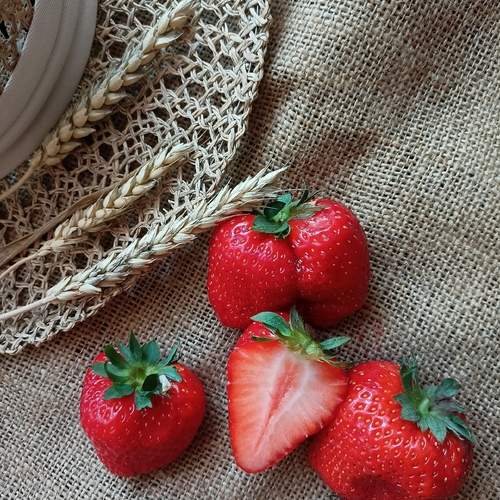 Photo #12344249