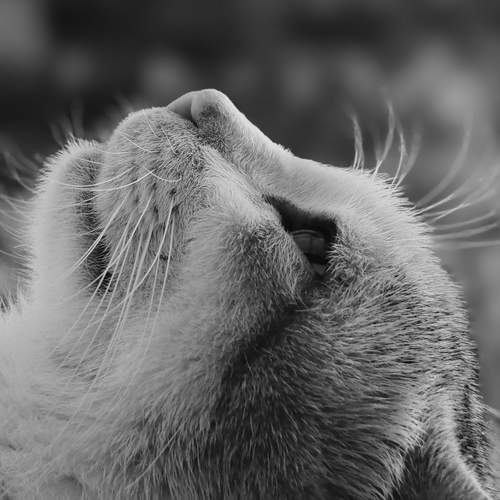 Photo #12344486