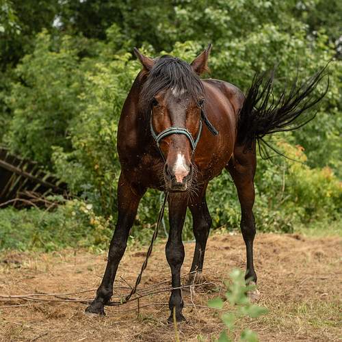 Photo #12344559